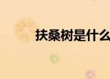 扶桑树是什么（扶桑树简单介绍）