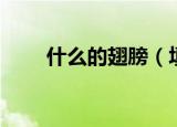 什么的翅膀（填空什么的翅膀盘点）