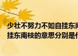少壮不努力不如自挂东南枝是什么意思（少壮不努力不如自挂东南枝的意思分别是什么）