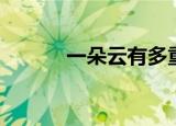 一朵云有多重（一朵云的介绍）