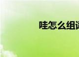 哇怎么组词（哇如何组词）