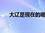 大辽是现在的哪个地方（大辽国介绍）