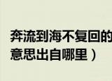 奔流到海不复回的意思（奔流到海不复回什么意思出自哪里）