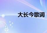 大长今歌词（中文完整版歌词）