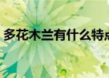 多花木兰有什么特点（多花木兰有哪些特点）