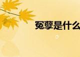 冤孽是什么意思（冤孽解释）