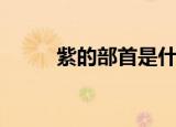紫的部首是什么（紫的部首是糸）
