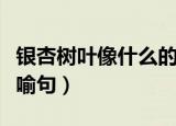 银杏树叶像什么的比喻句（银杏树叶像啥的比喻句）