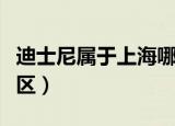 迪士尼属于上海哪个区（迪士尼属于上海什么区）