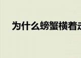 为什么螃蟹横着走（螃蟹横着走的原因）