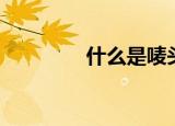 什么是唛头（唛头是什么）