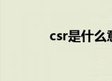 csr是什么意思（csr的含义）