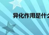 异化作用是什么（异化作用的解释）