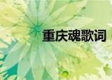 重庆魂歌词（重庆魂歌曲简介）