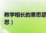 教学相长的意思是什么（词语教学相长什么意思）