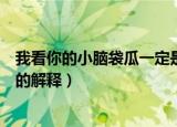 我看你的小脑袋瓜一定是热昏头了是什么意思和梗（这句话的解释）