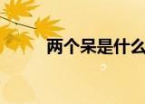 两个呆是什么字（两个呆是啥字）