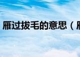 雁过拔毛的意思（雁过拔毛的意思简单介绍）
