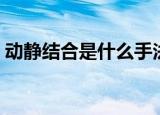 动静结合是什么手法（动静结合手法的介绍）