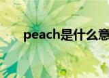 peach是什么意思（peach如何解释）