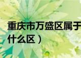重庆市万盛区属于哪个区（重庆市万盛区属于什么区）