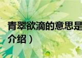青翠欲滴的意思是什么（青翠欲滴的意思简单介绍）