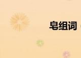 皂组词（皂怎么组词）