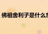 佛祖舍利子是什么东西（佛祖舍利子是何物）