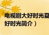 电视剧大好时光夏冰冰结局是什么（电视剧大好时光简介）