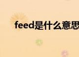 feed是什么意思翻译（feed怎么造句）