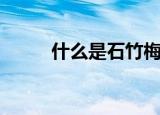 什么是石竹梅花（石竹梅花简介）