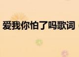 爱我你怕了吗歌词（爱我你怕了吗整首歌词）