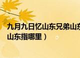 九月九日忆山东兄弟山东指什么地方（九月九日忆山东兄弟山东指哪里）