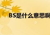 BS是什么意思啊（怎么理解BS的意思）