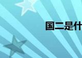 国二是什么（国二资料）