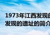 1973年江西发现的是什么遗址（1973年江西发现的遗址的简介）