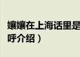 孃孃在上海话里是啥意思（孃孃在上海话里称呼介绍）