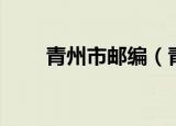 青州市邮编（青州邮政区码是多少）