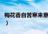 梅花香自苦寒来意思（梅花香自苦寒来的含义）