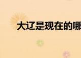 大辽是现在的哪个地方（大辽国介绍）