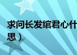 求问长发绾君心什么意思（长发绾君心什么意思）