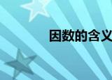 因数的含义（因数解释说明）