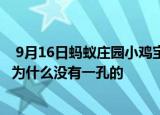  9月16日蚂蚁庄园小鸡宝宝问题 接线板上的插孔有两孔三孔为什么没有一孔的