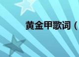 黄金甲歌词（黄金甲歌词是什么）