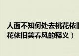 人面不知何处去桃花依旧笑春风的意思（人面不知何处去桃花依旧笑春风的释义）