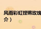 风雨彩虹铿锵玫瑰歌词（风雨彩虹铿锵玫瑰简介）
