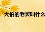 大伯的老婆叫什么（大伯的老婆怎么称呼）