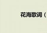 花海歌词（花海歌词是什么）