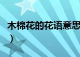 木棉花的花语意思是什么（木棉花的花语含义）