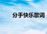 分手快乐歌词（分手快乐歌词介绍）